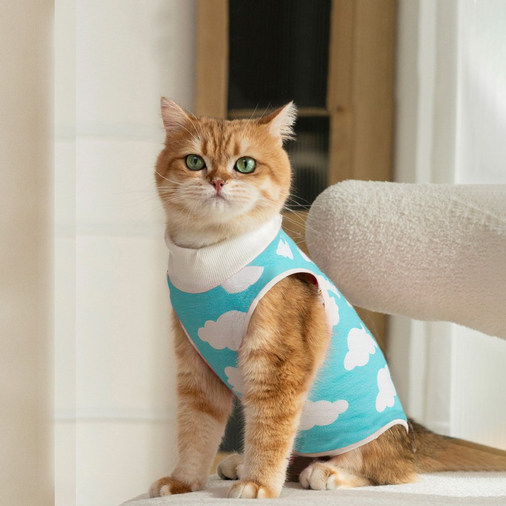 Pet Supplies Co - Kediler Cerrahi Kurtarma Takım Elbise Küçük