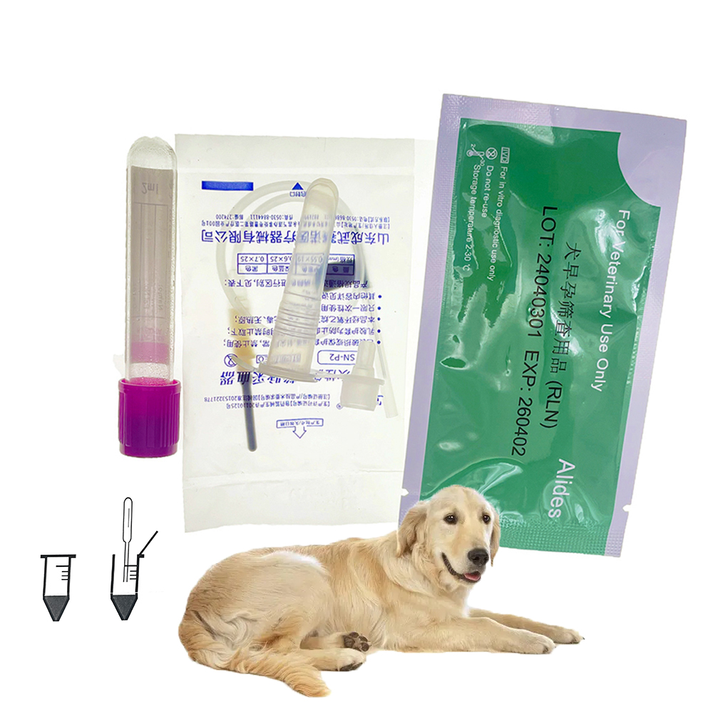 Pet Supplies Store - 1 takım/5 takım profesyonel evde Pet