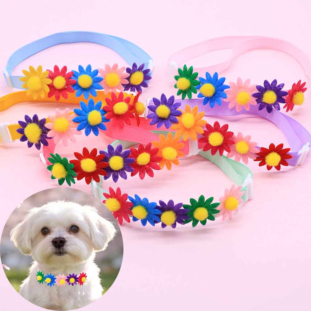 50 adet renkli köpek papyonlar - Pet Supplies Co incelemesi ve fiyatı