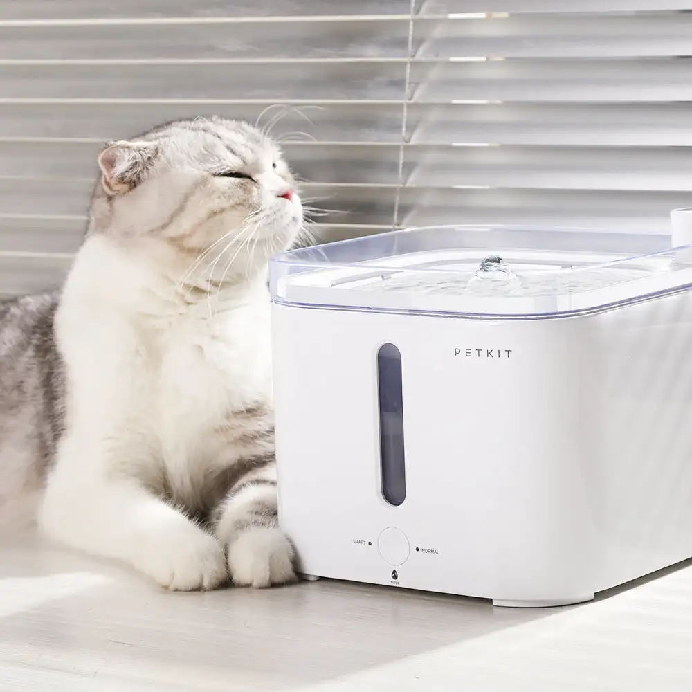 CANBOUN EVERSWEET Serisi Kablo - Pet Water Fountain incelemesi ve fiyatı