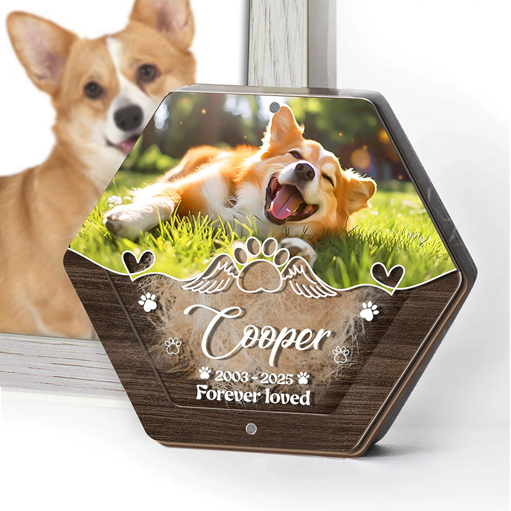 Kişiselleştirilmiş Adı Ahşap O - Pet Supplies Store incelemesi ve fiyatı