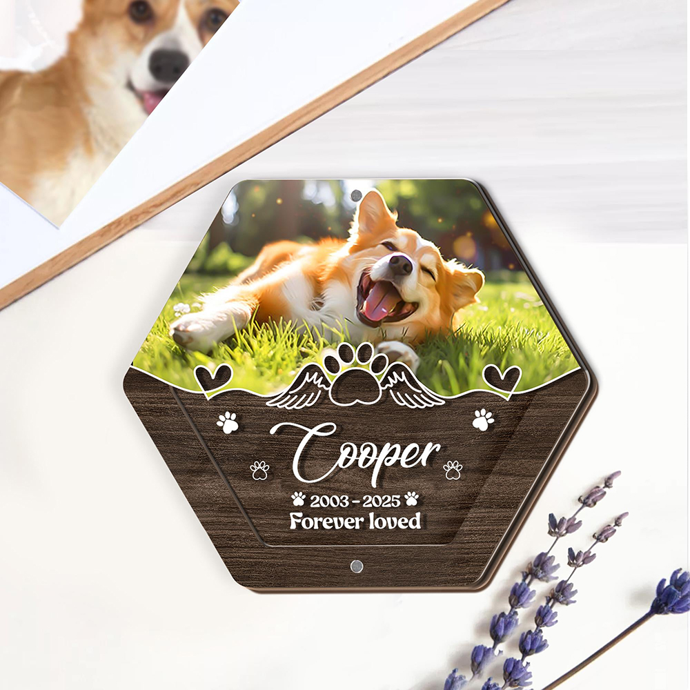 Kişiselleştirilmiş Adı Ahşap O - Pet Supplies Store incelemesi ve fiyatı
