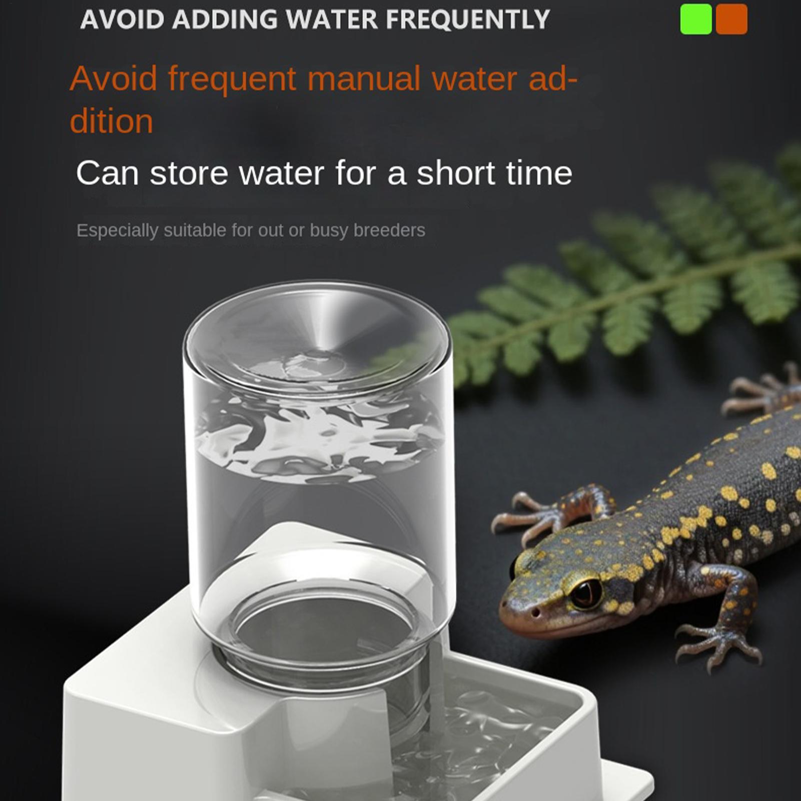 Sakallı Ejder Su Pınarı Otomat - Pet Water Fountain incelemesi ve fiyatı