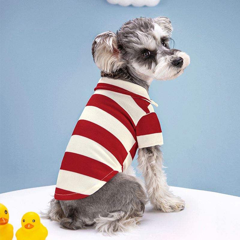 Pet Köpek Polo Gömlek Yaz Köpe - Pet Supplies Co incelemesi ve fiyatı